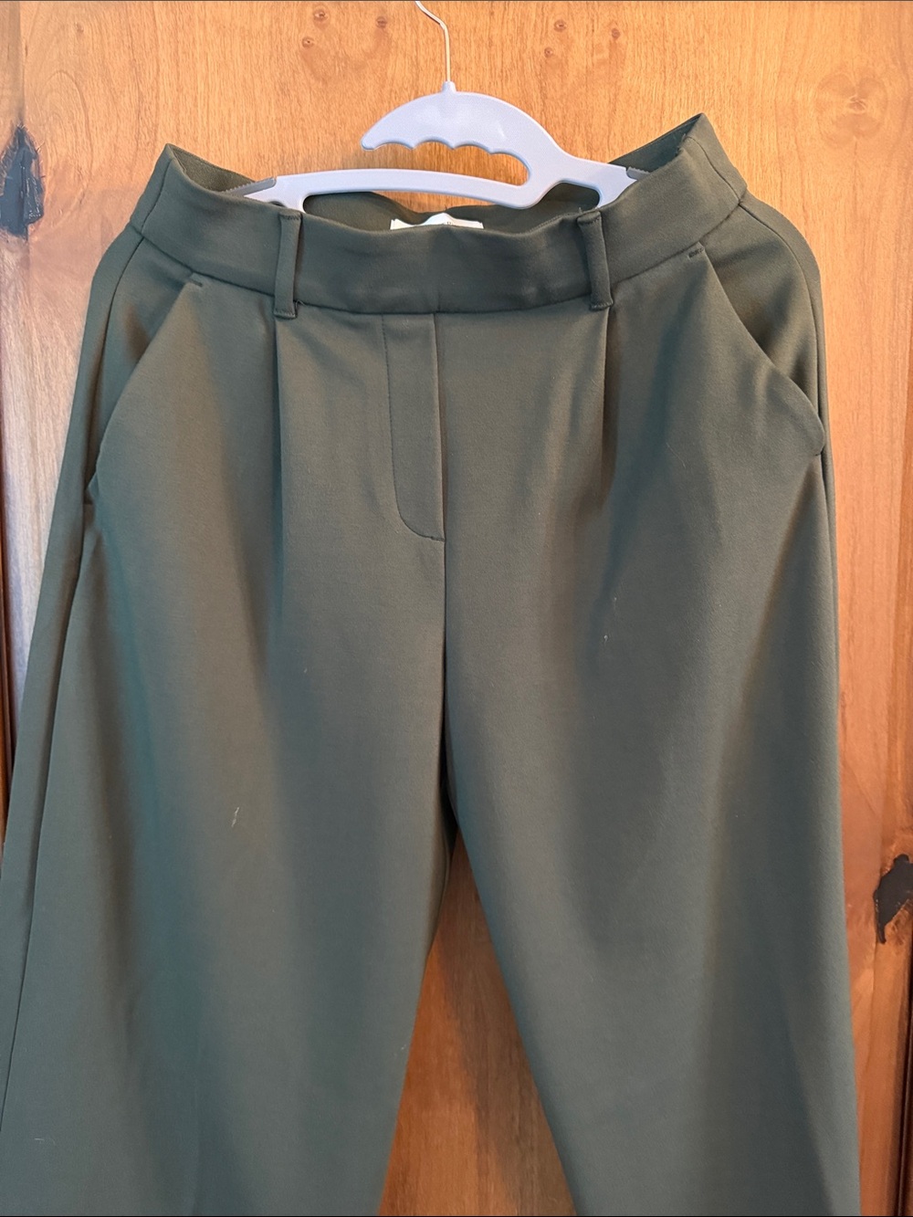 Banana Republic Olive Green Pleated Waist Trousers